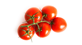 tomatoes